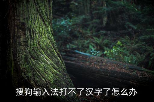 搜狗輸入法打不了漢字了怎么辦