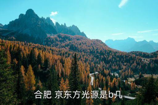 京東方b