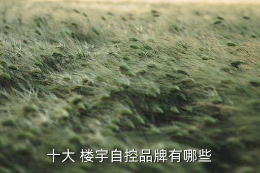 十大 樓宇自控品牌有哪些