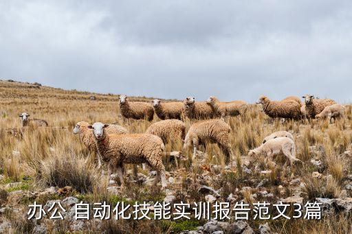 辦公 自動化技能實(shí)訓(xùn)報告范文3篇