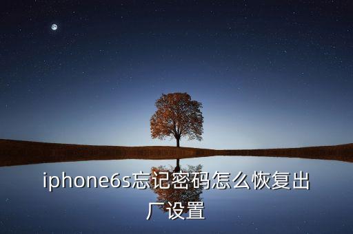 6s出廠數(shù)據(jù),蘋果6s怎么恢復出廠設置?