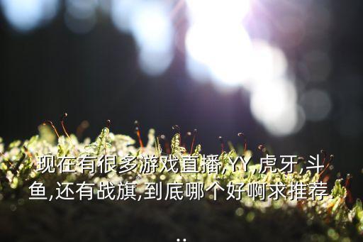 斗魚大表姐,斗魚大表姐和關(guān)曉彤合唱一局歌詞引網(wǎng)友猜測(cè)