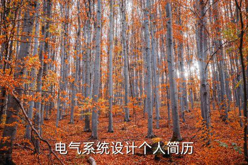 電氣系統(tǒng)設(shè)計(jì)個人簡歷