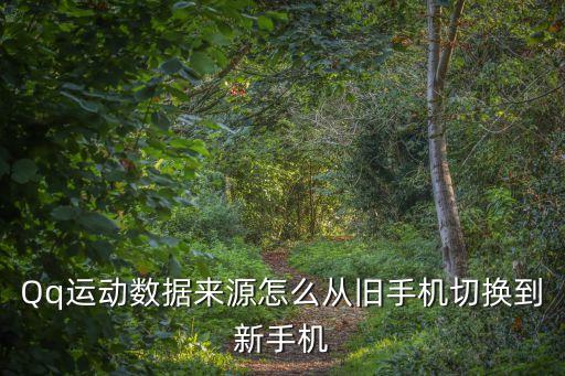 Qq運動數(shù)據(jù)來源怎么從舊手機切換到新手機