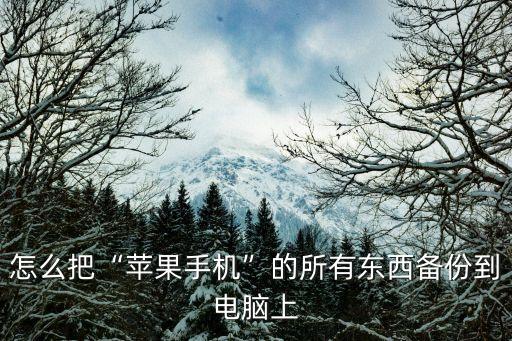 怎么把“蘋果手機(jī)”的所有東西備份到電腦上