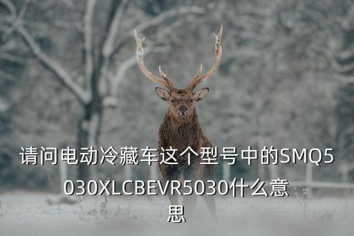 bev是什么意思,新能源汽車bev是什么意思