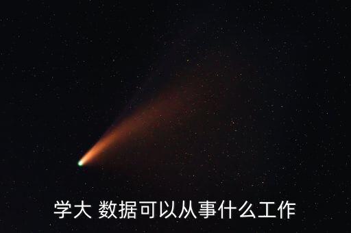 學(xué)大 數(shù)據(jù)可以從事什么工作