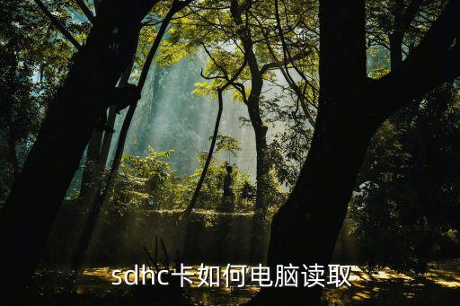  sdhc卡如何電腦讀取