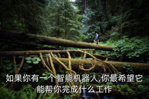 如果你有一個(gè)智能機(jī)器人,你最希望它能幫你完成什么工作