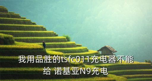 我用品勝的tsfc011充電器不能給 諾基亞N9充電