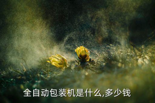 全自動包裝機(jī)是什么,多少錢