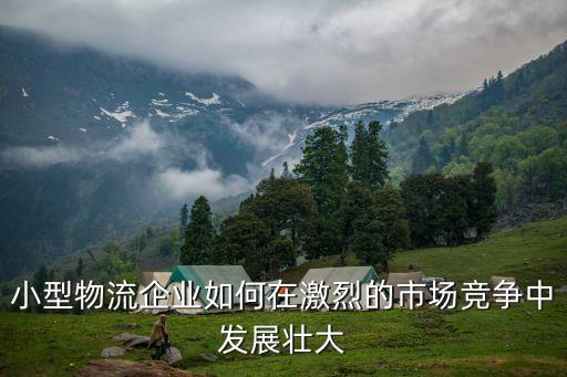 小快遞公司自動化低,快遞廠什么時候全自動化?搞清楚!