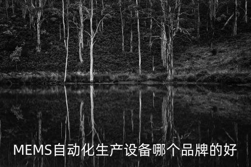 s型自動(dòng)化設(shè)備,非標(biāo)自動(dòng)化設(shè)備有何不同?看這里!