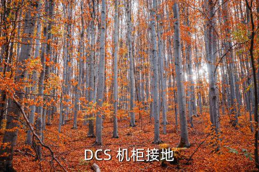 DCS 機(jī)柜接地