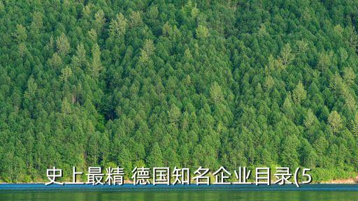 史上最精 德國知名企業(yè)目錄(5