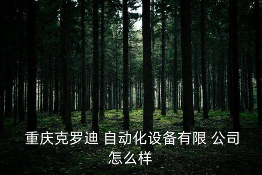  重慶克羅迪 自動(dòng)化設(shè)備有限 公司怎么樣
