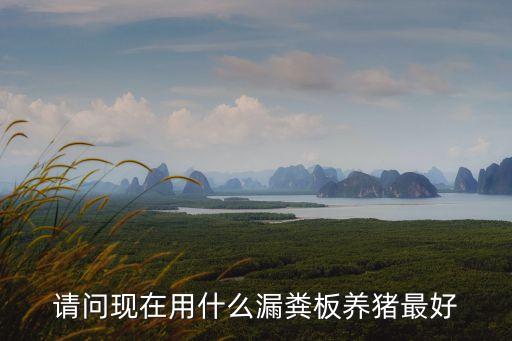 請(qǐng)問(wèn)現(xiàn)在用什么漏糞板養(yǎng)豬最好