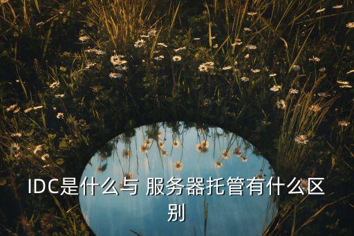 IDC是什么與 服務(wù)器托管有什么區(qū)別