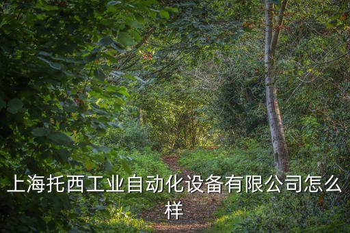 上海托西工業(yè)自動化設(shè)備有限公司怎么樣