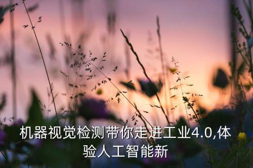 自動化視覺檢測設(shè)備,視覺檢測自動化設(shè)備有哪些品牌?
