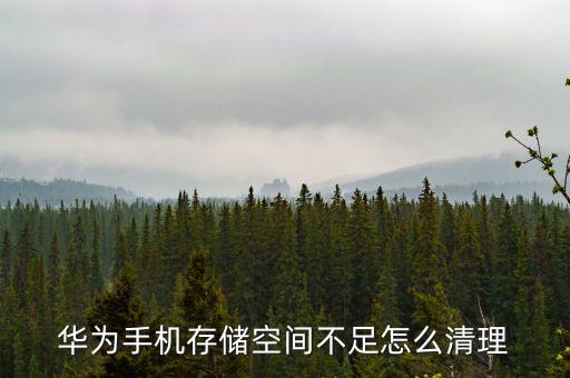 華為怎么清理緩存數(shù)據(jù),華為手機(jī)怎么清理緩存?一文看懂
