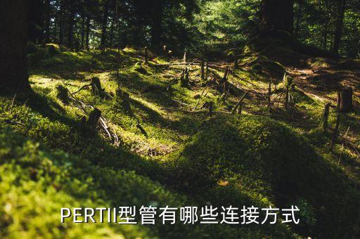 PERTII型管有哪些連接方式