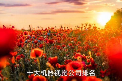 自動(dòng)化設(shè)備公司泰國排名,中國生產(chǎn)自動(dòng)化設(shè)備公司有哪些?