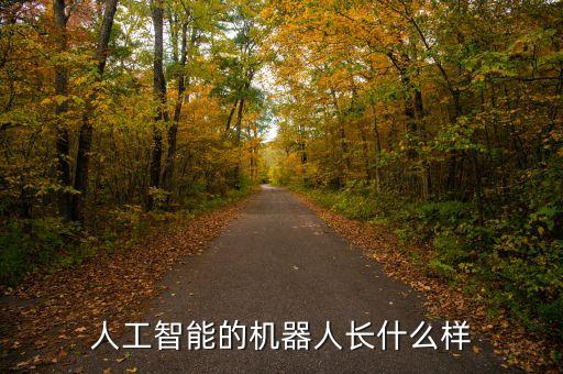 人工智能的機器人長什么樣