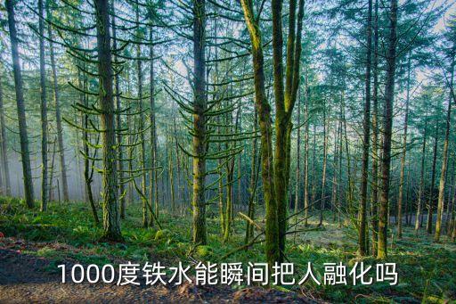 1000度鐵水能瞬間把人融化嗎