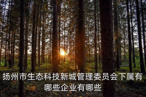揚(yáng)州市生態(tài)科技新城管理委員會(huì)下屬有哪些企業(yè)有哪些