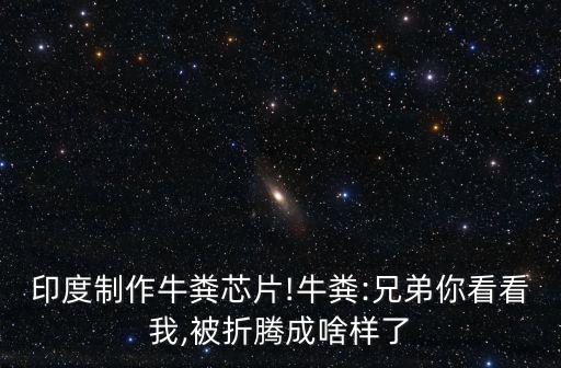 印度制作牛糞芯片!牛糞:兄弟你看看我,被折騰成啥樣了