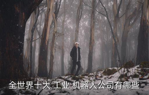 工業(yè)機(jī)器人廠家名稱,四大家族工業(yè)機(jī)器人公司的名稱