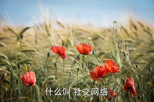 什么叫 社交網(wǎng)絡(luò)