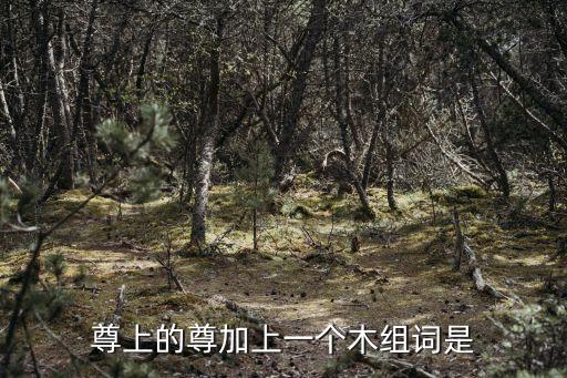 尊上的尊加上一個木組詞是