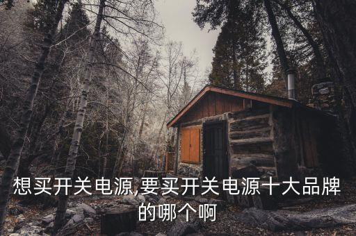 想買開關(guān)電源,要買開關(guān)電源十大品牌的哪個啊
