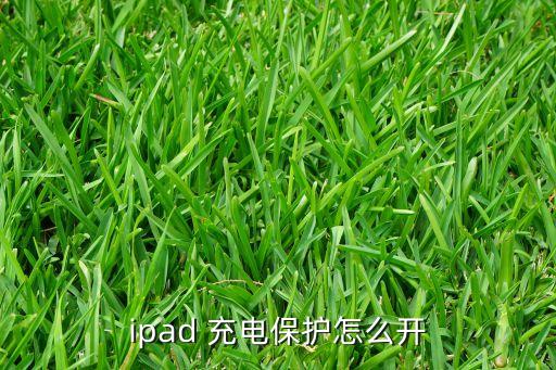 ipad 充電保護怎么開