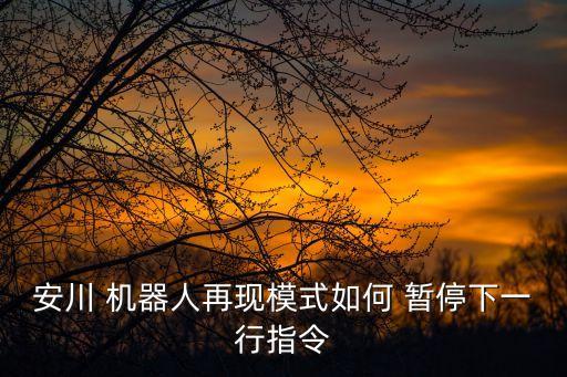 安川 機(jī)器人再現(xiàn)模式如何 暫停下一行指令