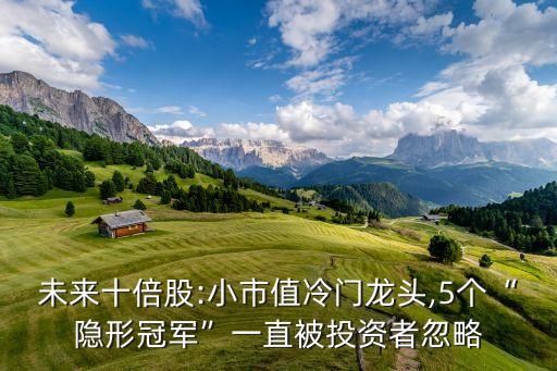 未來十倍股:小市值冷門龍頭,5個(gè)“隱形冠軍”一直被投資者忽略