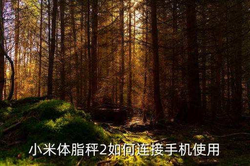 小米體脂秤怎么查看10項數(shù)據(jù),怎么使用米家體脂秤?