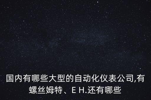 國內有哪些大型的自動化儀表公司,有螺絲姆特、E H.還有哪些