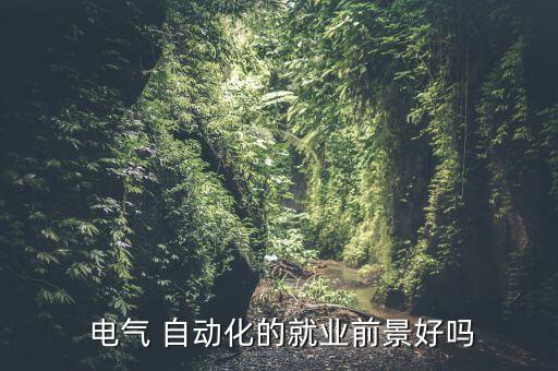  電氣 自動化的就業(yè)前景好嗎