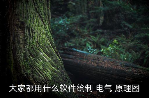 大家都用什么軟件繪制 電氣 原理圖
