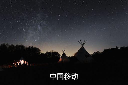 移動數(shù)據(jù)業(yè)務(wù),中國移動數(shù)據(jù)業(yè)務(wù)有哪些?