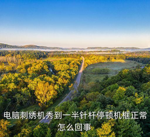 自動(dòng)化繡花設(shè)備,電腦繡花機(jī)具備繡花效率和高自動(dòng)化程度