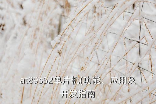 設(shè)備自動化單片機,電網(wǎng)自動化需要用到單片機嗎?