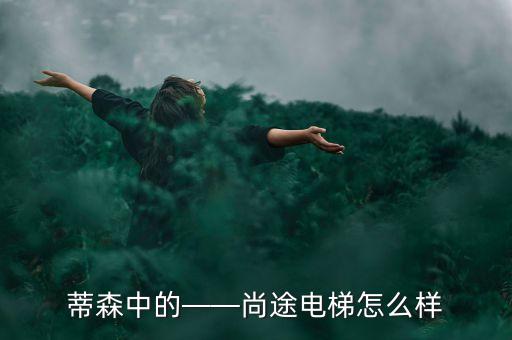 蒂森中的——尚途電梯怎么樣