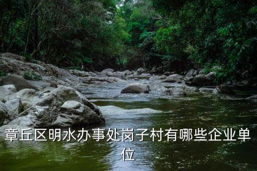 章丘區(qū)明水辦事處崗子村有哪些企業(yè)單位