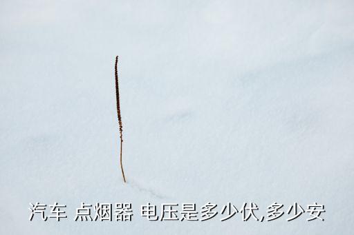汽車 點(diǎn)煙器 電壓是多少伏,多少安