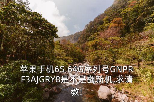 蘋果手機(jī)6S,64G序列號GNPRF3AJGRY8是不是翻新機(jī),求請教!