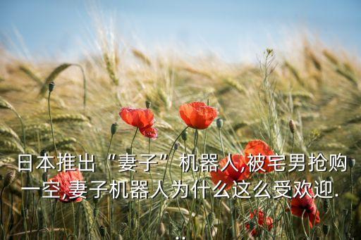 日本推出“妻子”機器人,被宅男搶購一空,妻子機器人為什么這么受歡迎...